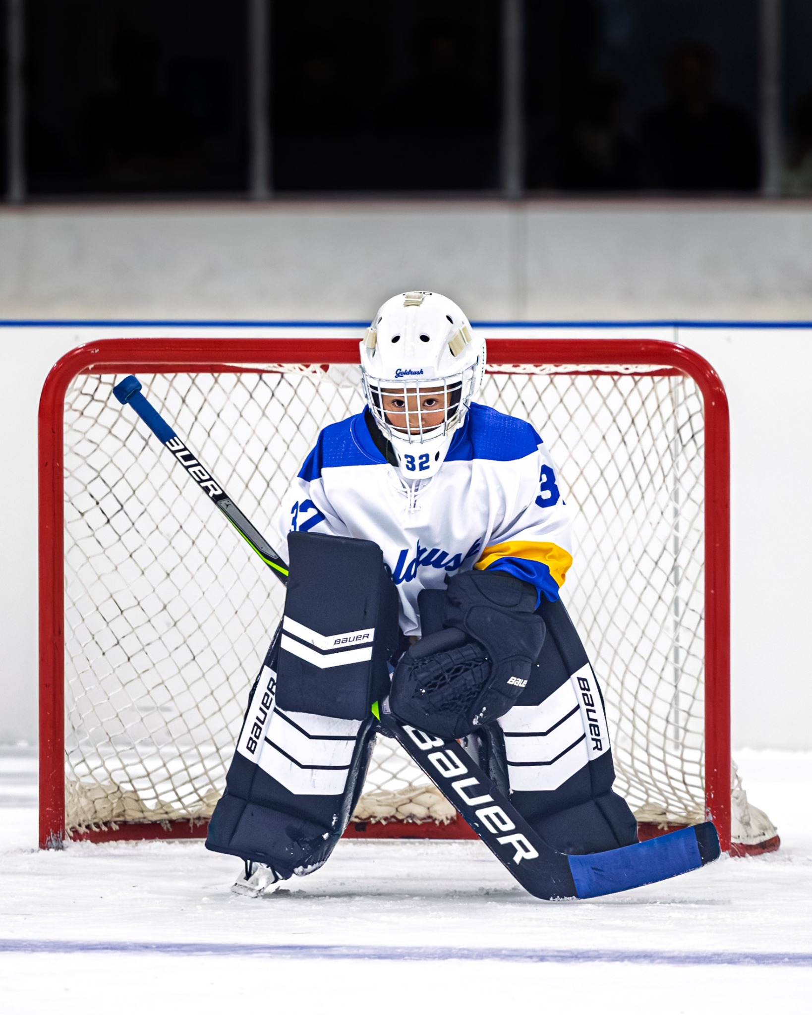 Hockey goalie in front of the net