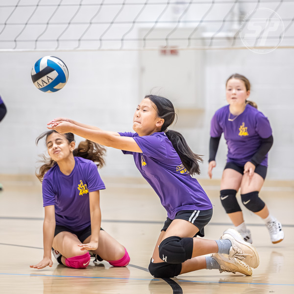 AAA Volleyball preview